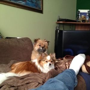 Meet your Posher, Keith